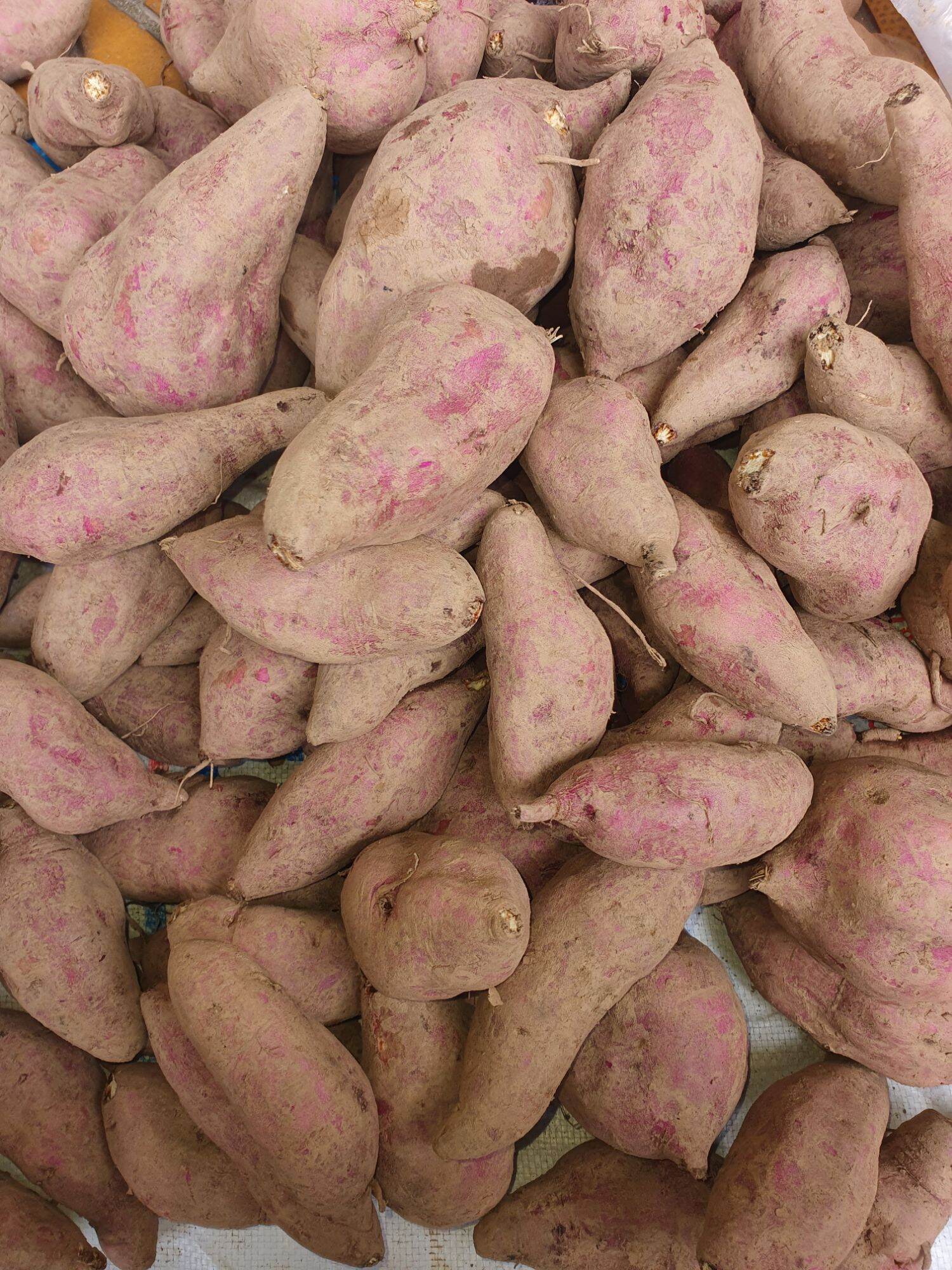 Khoai Lang Dương Ngọc - 3kg
