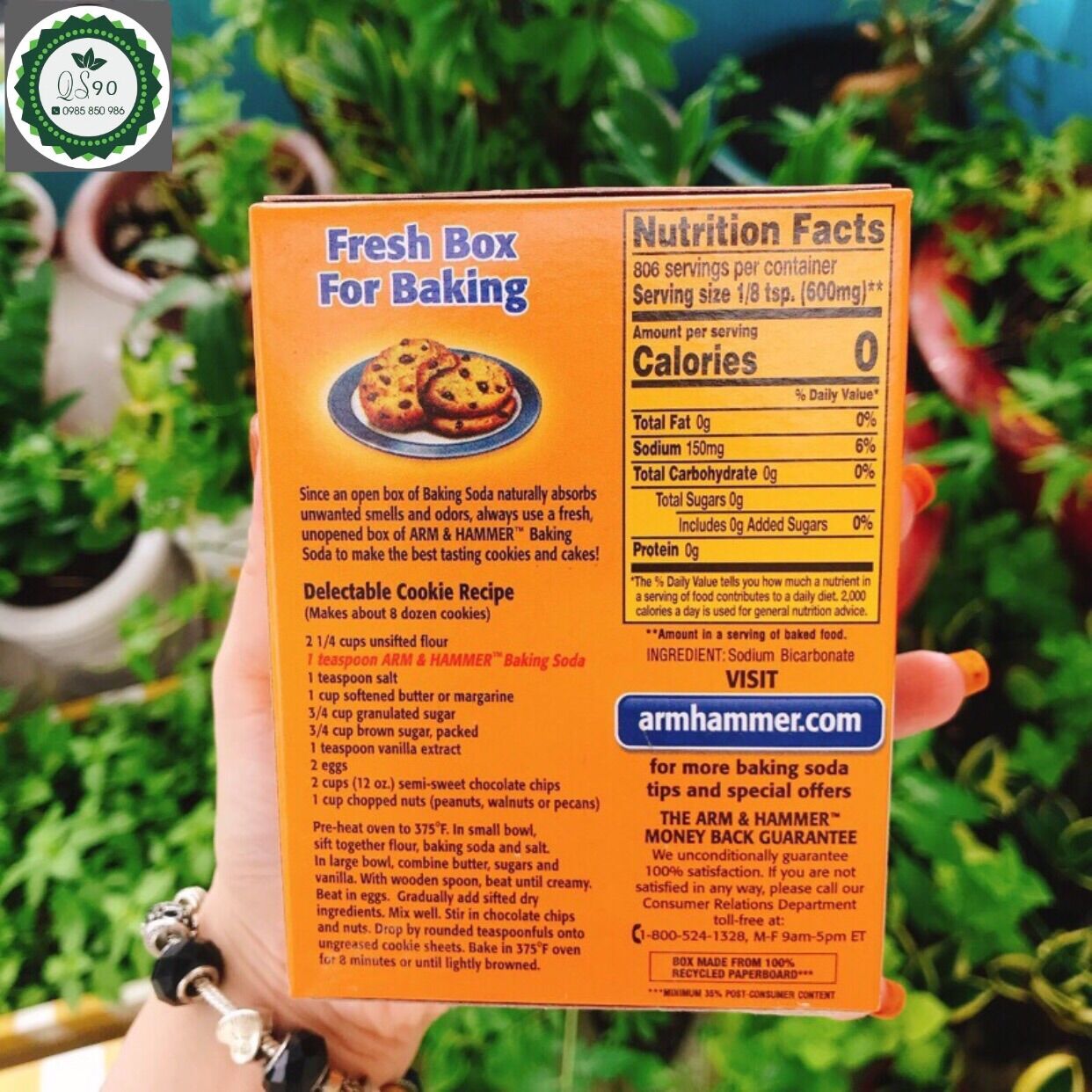 Baking Soda Arm & Hammer 454g - USA