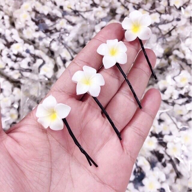 💥Set 10 Kẹp Tóc Hoa Sứ Nhiều màu (Xả kho)