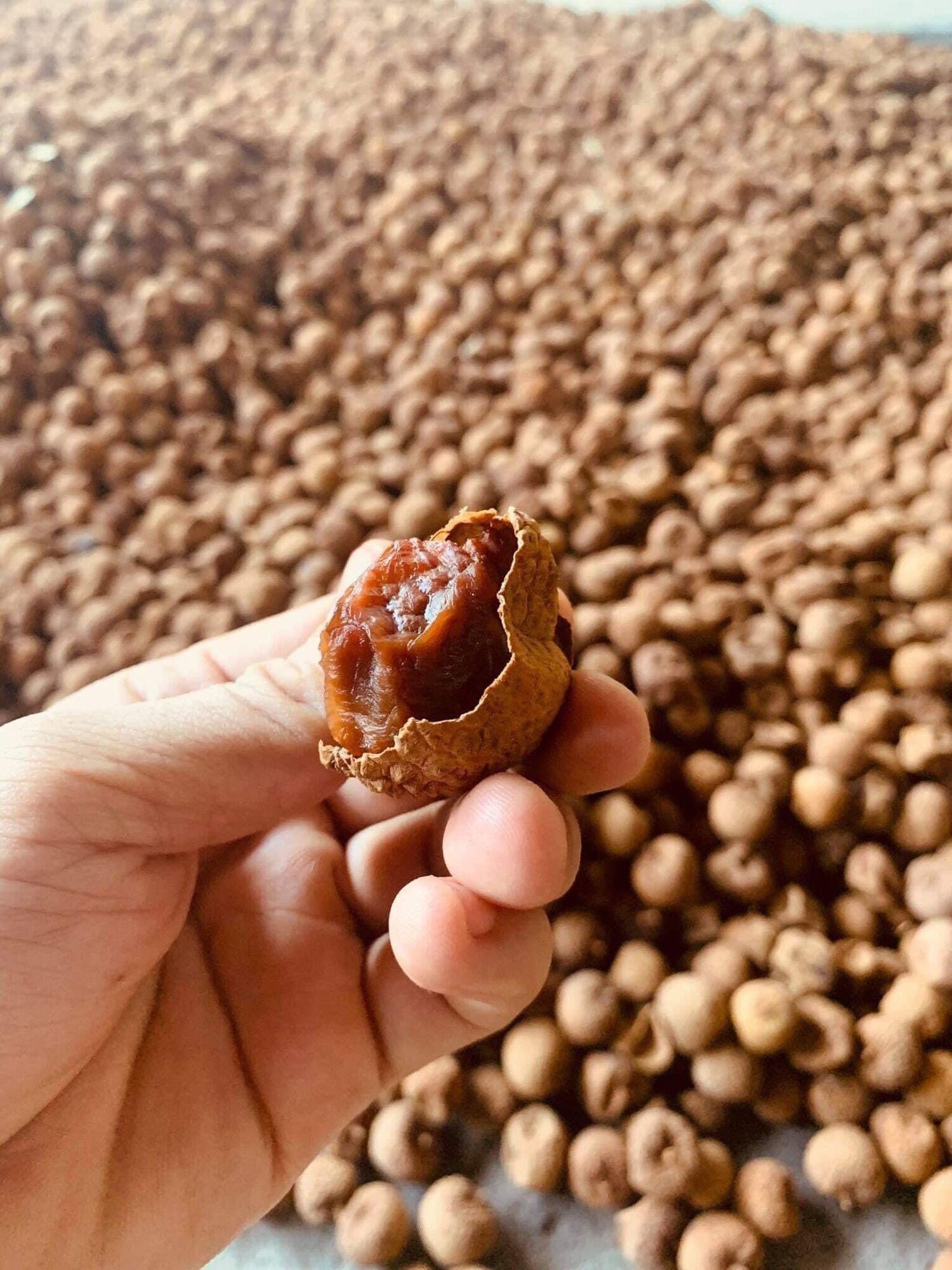 Vải sấy bắc giang 50k/1kg