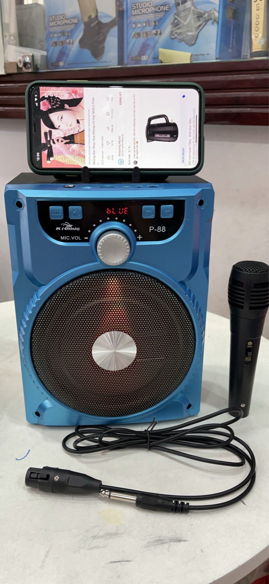 Loa karaoke p88