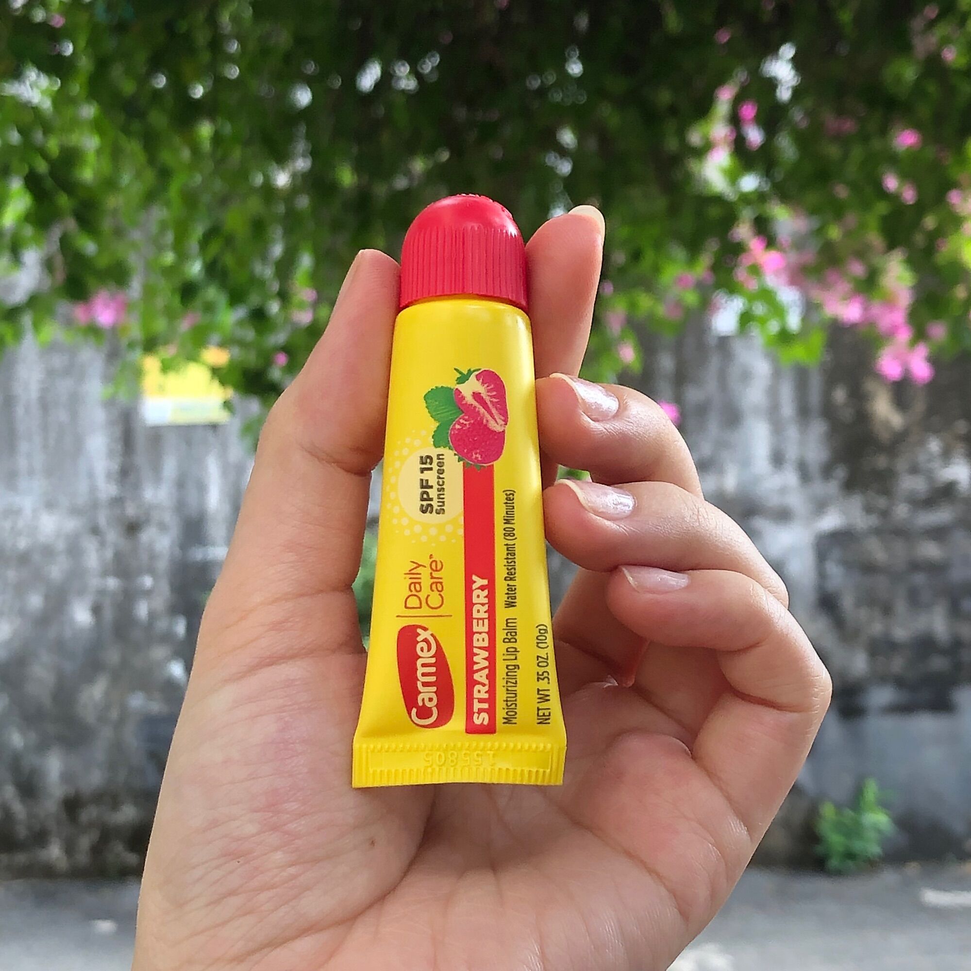 Son dưỡng môi Carmex Moisturizing Lip Balm