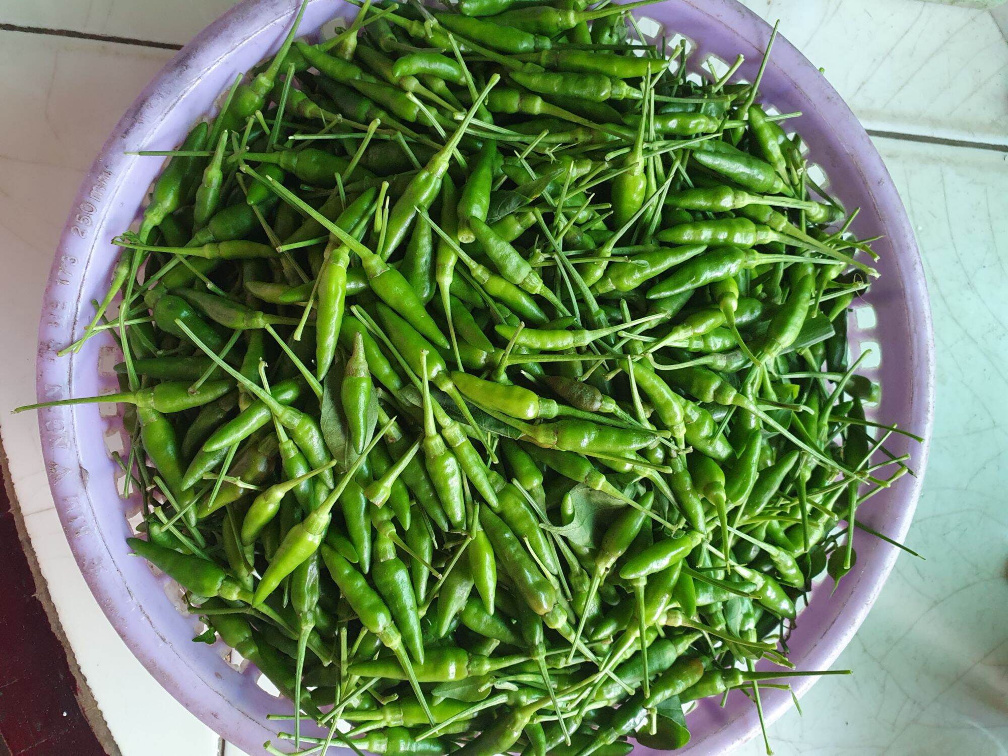 Ớt xiêm xanh rừng, 1 phần là 0.5 kí