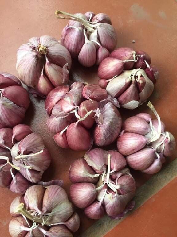 1kg tỏi khô