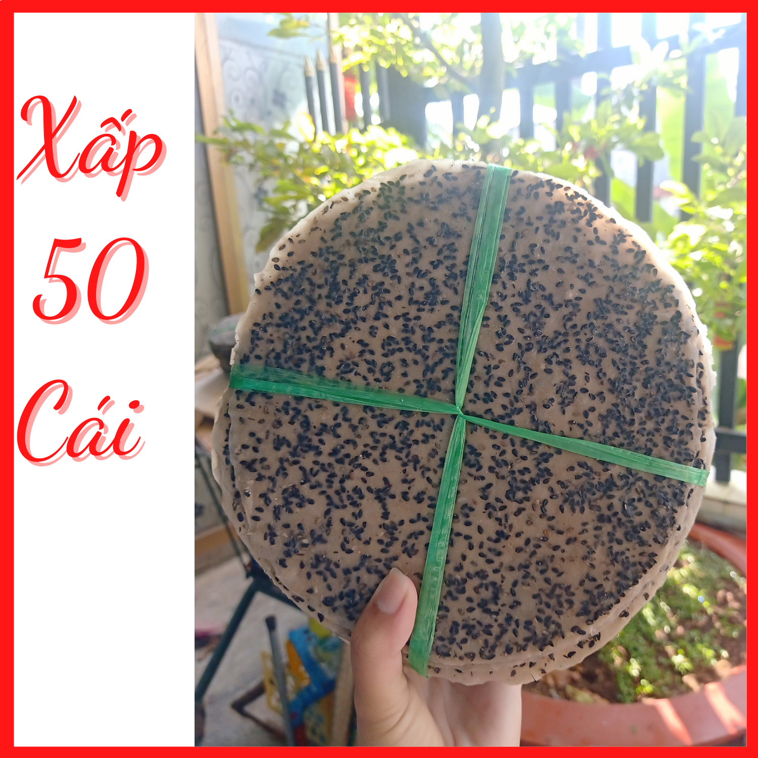 Xấp 50 cái bánh tráng mè dừa, bánh tráng nướng - đặc sản tây ninh
