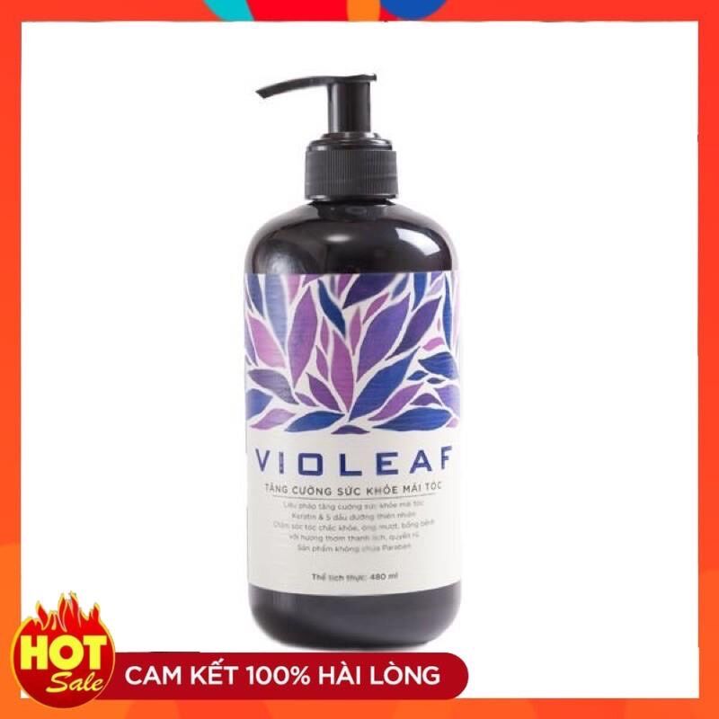 Dầu gội Violeaf chai 480ml