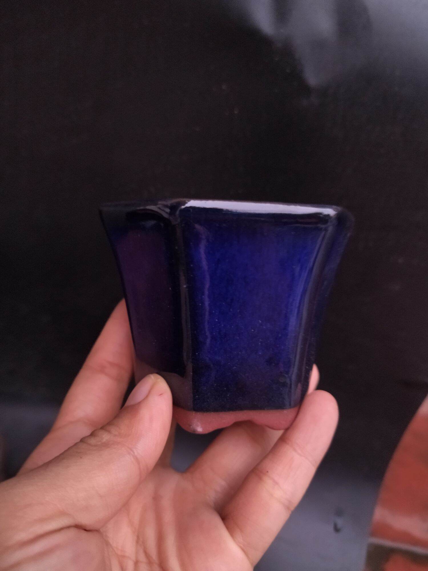 combo 5 chậu xanh coban