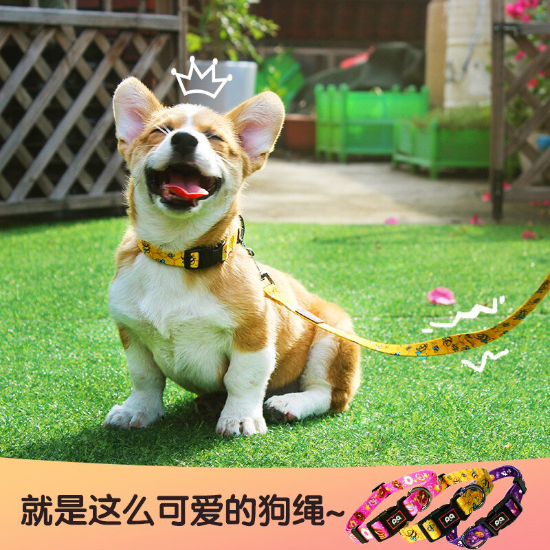 Đồ dùng cho thú cưng, dây dắt chó, dây dắt chó, dây dắt chó, dây dắt chó teddy, dây dắt chó golden, chó lớn