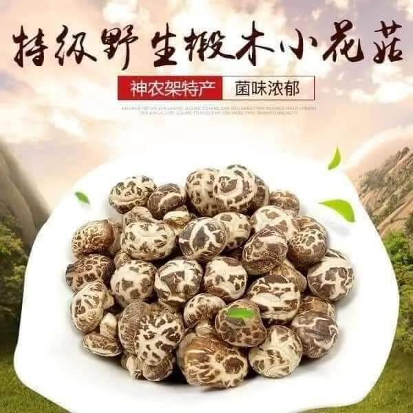 Nấm Đông Cô mini (Bịch 500gram)