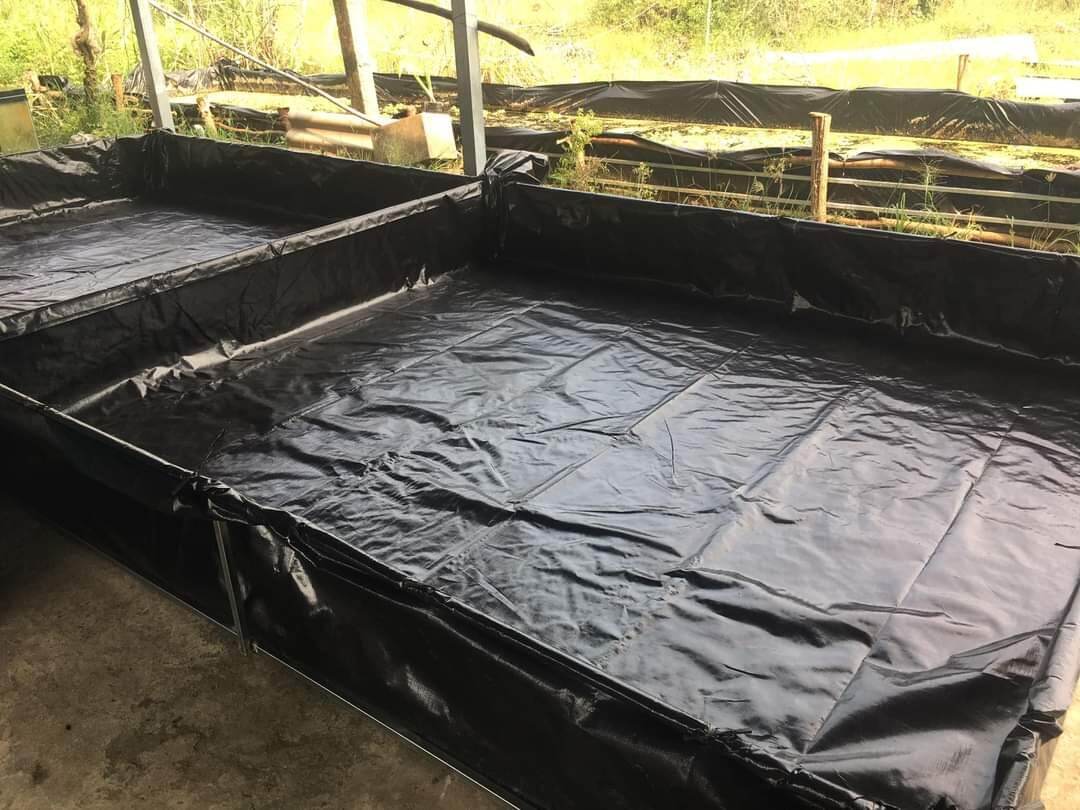 Bể bạt nuôi ốc ếch cá lươn chạch - 5x2x1 loại HDPE