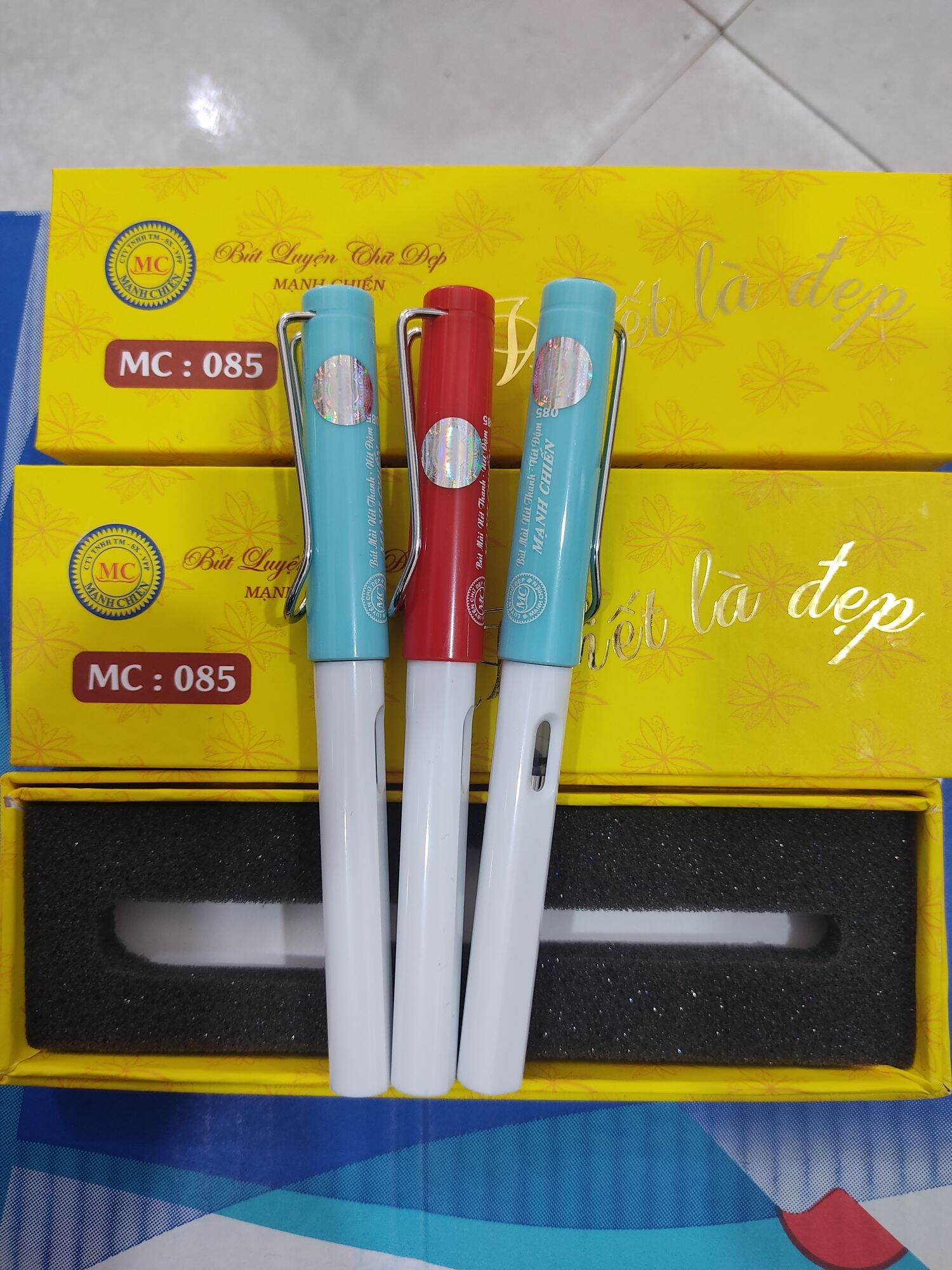 Bút máy luyện chữ đẹp ngòi lá tre