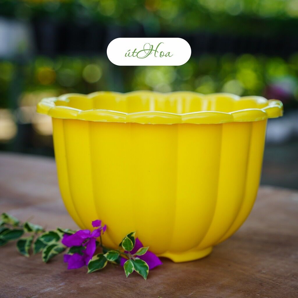 Combo 10 Chậu Treo Bí Lớn 22X14Cm (Chọn Màu, Kèm Dây Treo)
