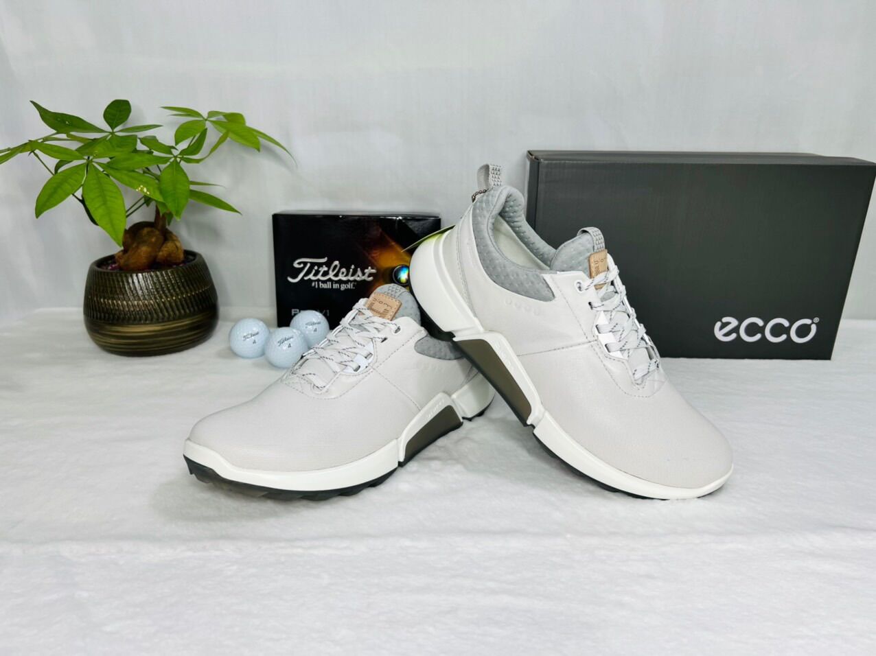 Giày golf nam Ecco thể thao êm chân dây buộc mẫu mới