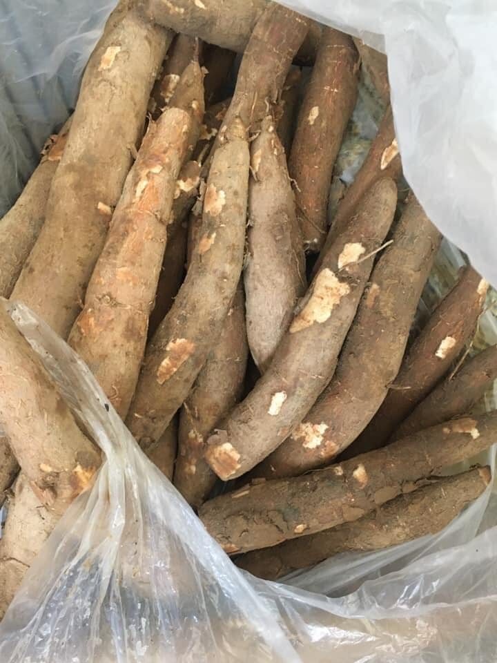 Củ Khoai mì ruột vàng siêu dẽo 5kg