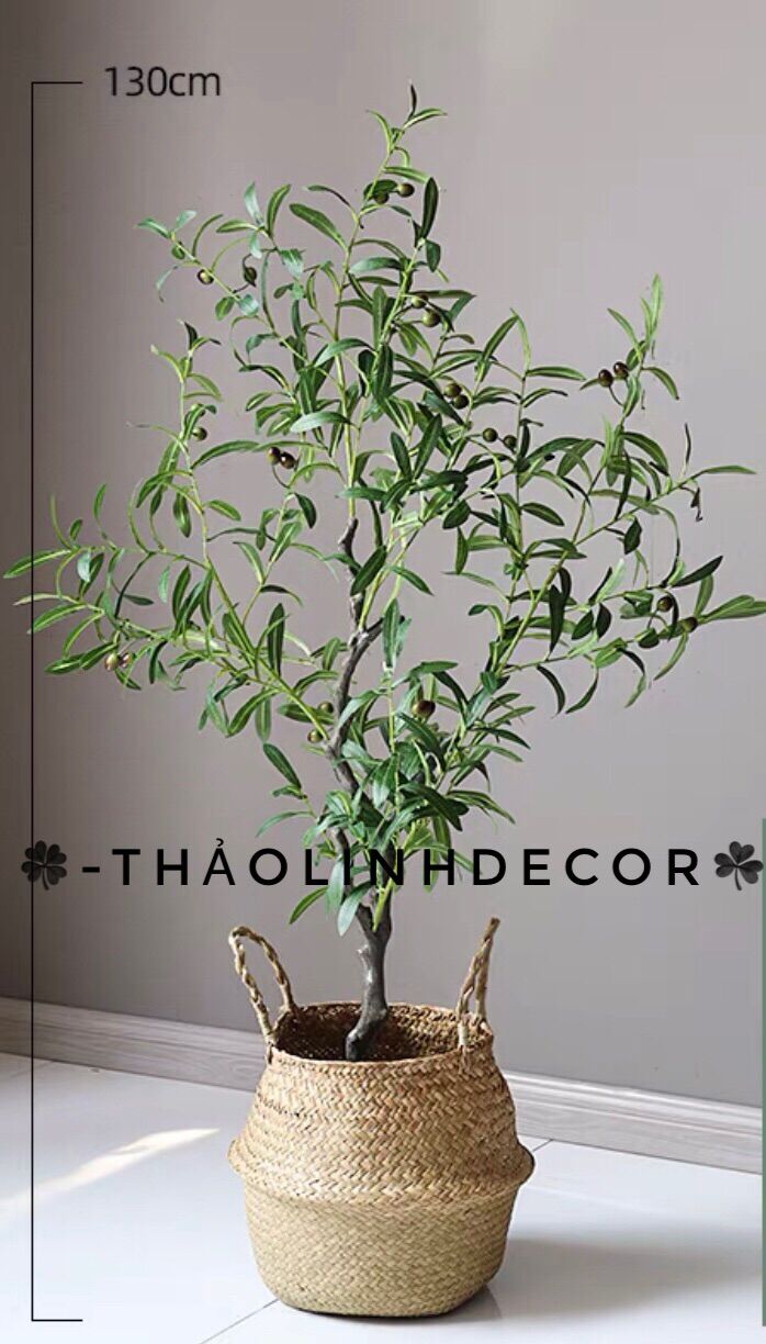 Cây oliu giả trang trí hàng loại 1 -130cm ThảolinhDecor