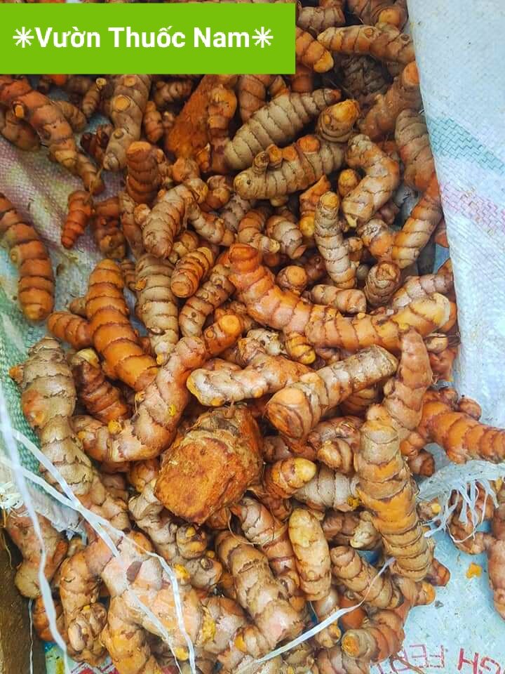 Củ nghệ vàng tươi nhà trồng 1kg