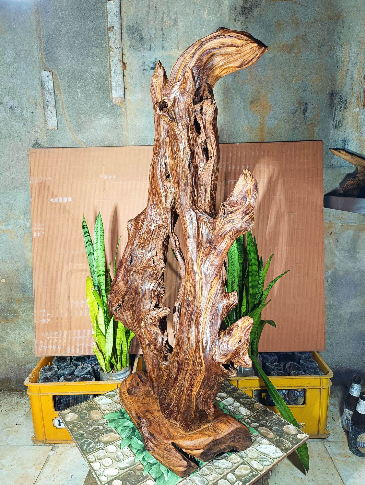 lũa gỗ thơm ngọc am đỏ hà giang