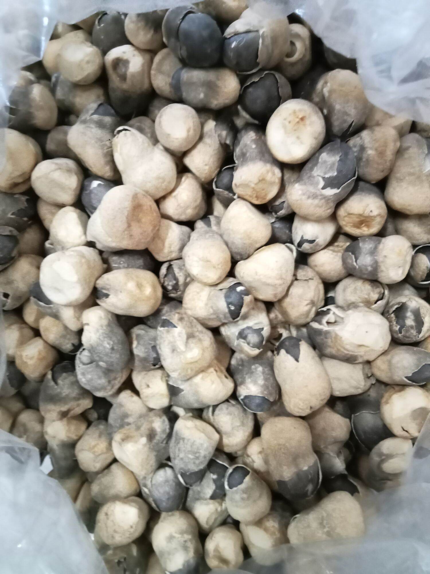 Nấm Rơm Mecco Sấy Thăng Hoa 250g
