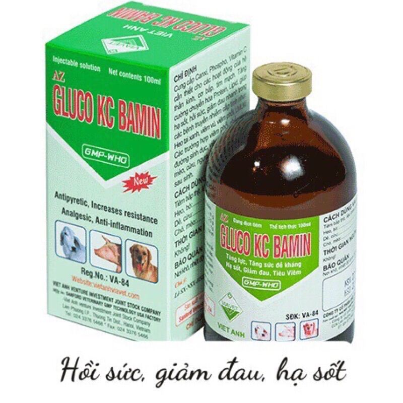 [THÚ Y] 1 lọ ĐƯỜNG GLUCO KC BAMIN hồi sức giảm đau hạ sốt dùng cho trâu bò lợn gà