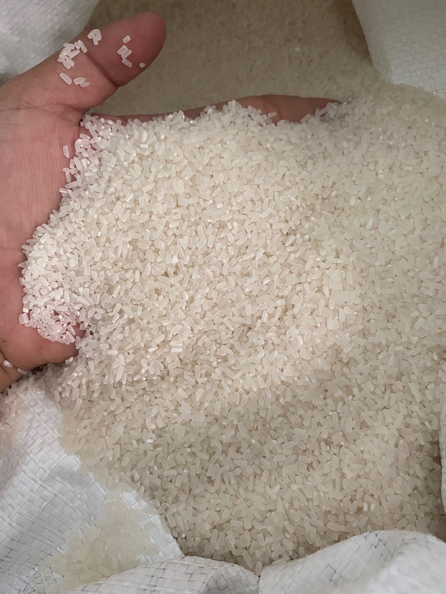 3kg tấm gạo st25 nấu cơm ăn dặm , cháo dinh dưỡng cho người già và trẻ nhỏ