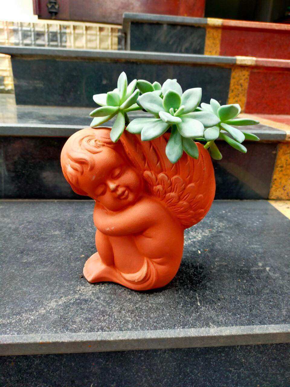 Chậu đất nung Bình Dương dáng thiên thần
