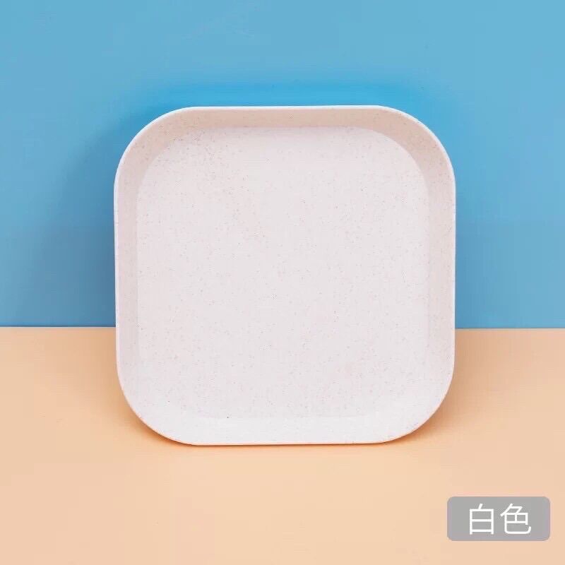 ĐĨA LUA MẠCH SIÊU XINH SIÊU RẺ