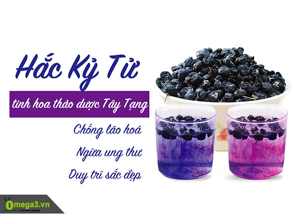 Hắc kỷ tử loại ĐẶC BIỆT-100g -HSD:2025