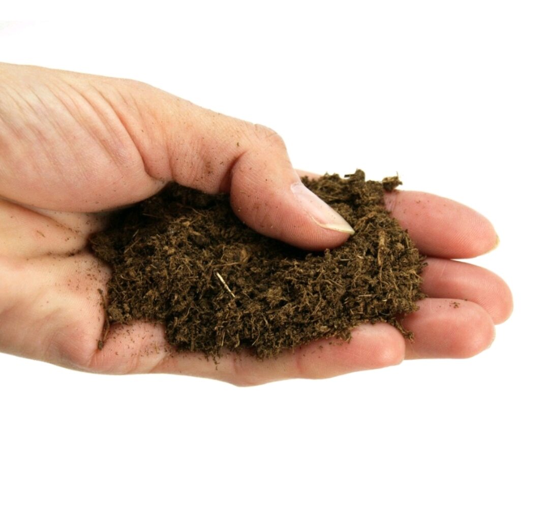 1 ký giá thể peatmoss, phân mùn hữu cơ