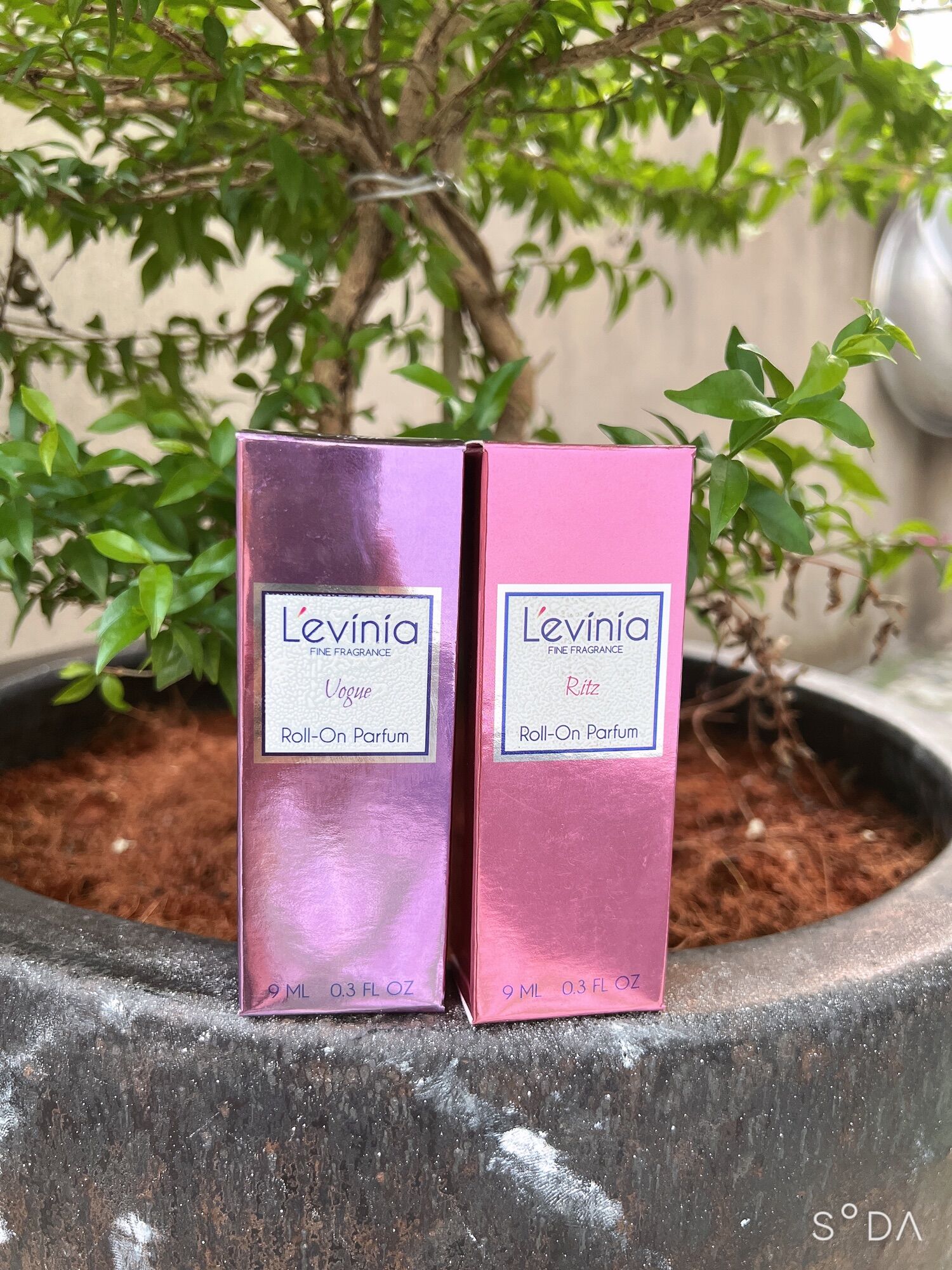 Nước hoa lăn cao cấp L’evinia 9ml