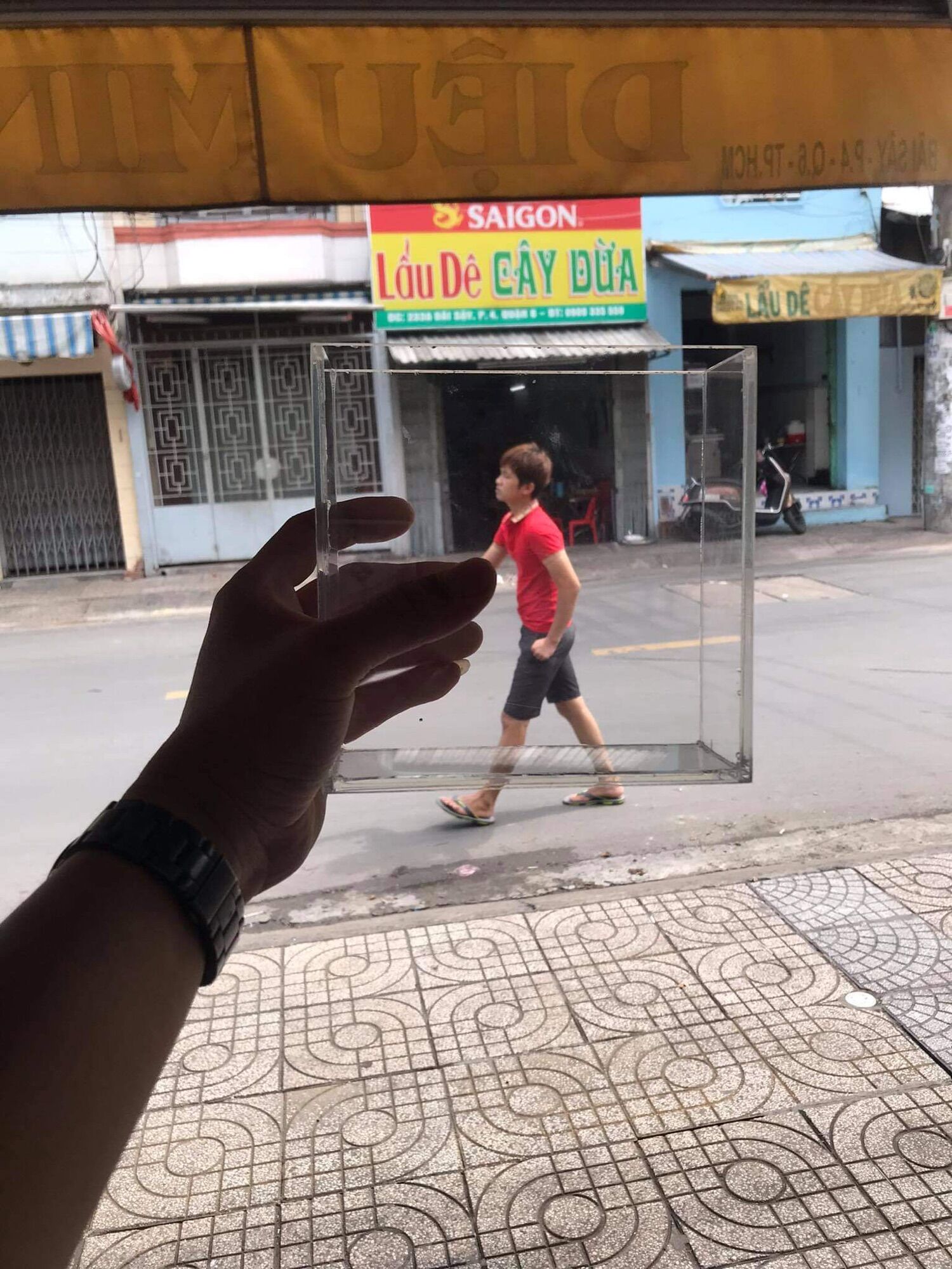 hồ kính siêu trong show cá guppy betta