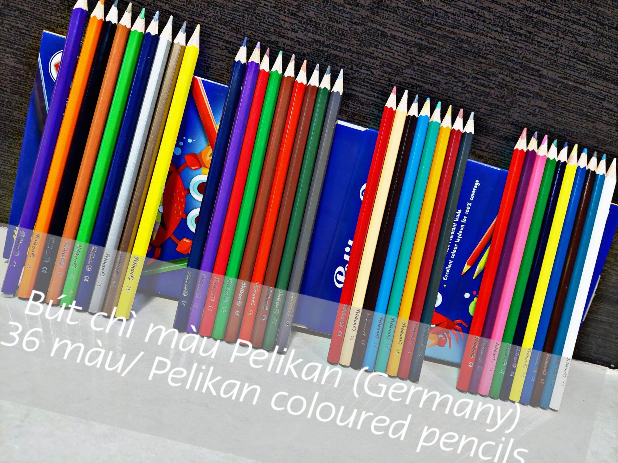Bút chì màu Pelikan (Germany), 36 màu (36 Colors) cao cấp.