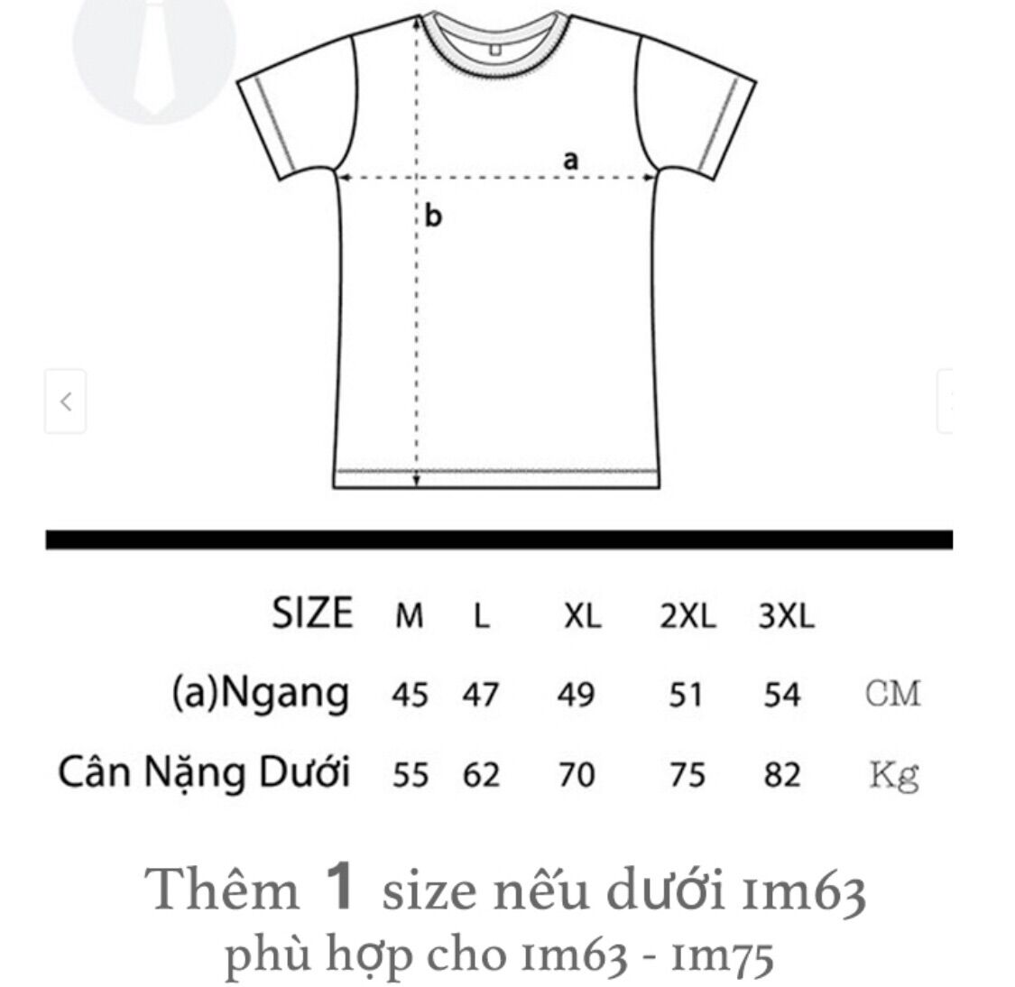 Áo thun nam polo cổ bẻ nhiều màu HT0124