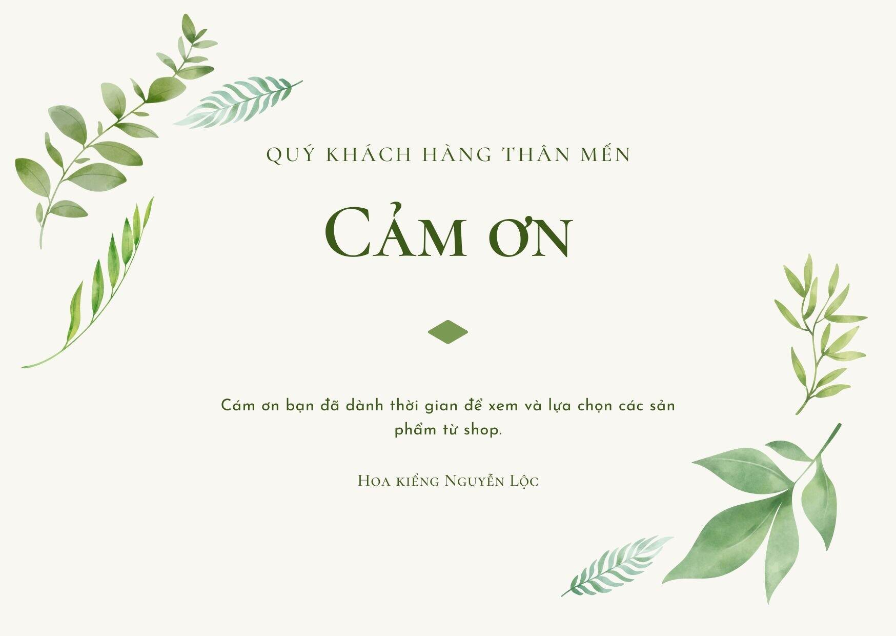 Cây kim phượng