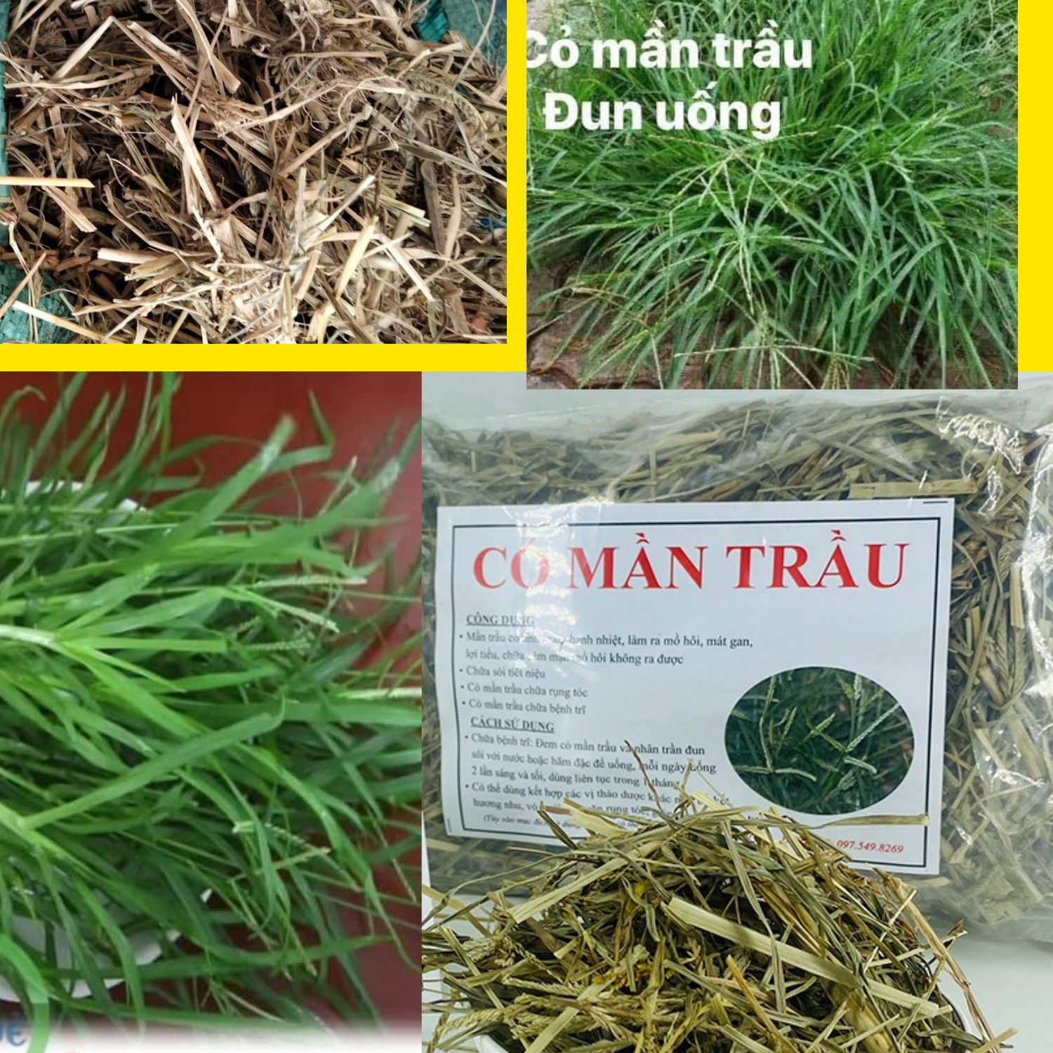 Cỏ mần trầu khô hàng sạch