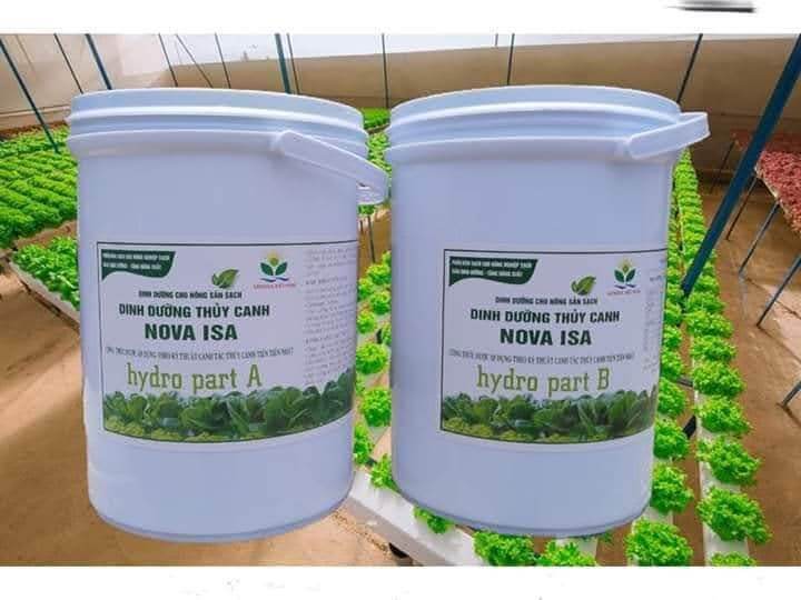 Dinh dưỡng thủy canh bột. Nova isa 20