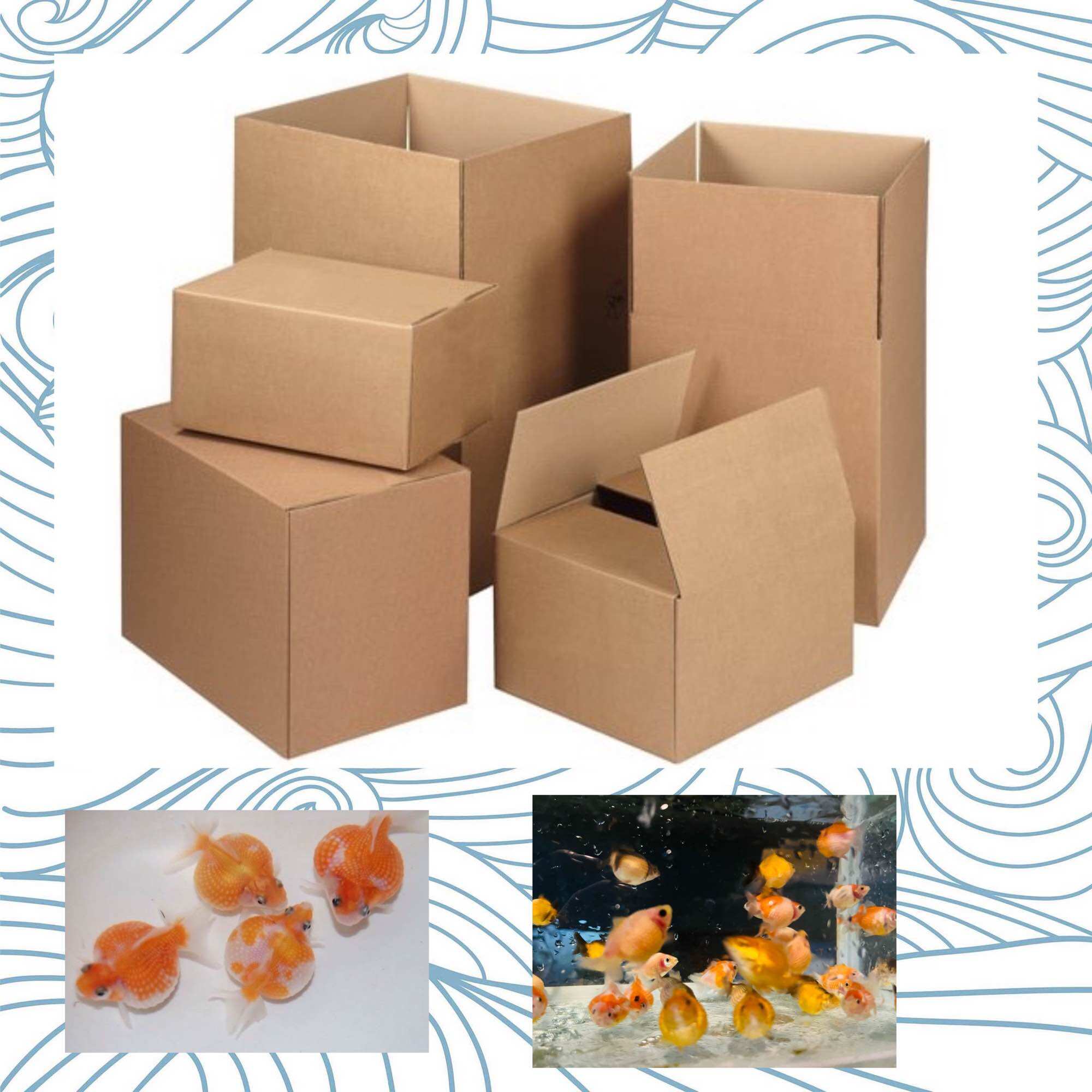 Thùng carton đóng pingpong size 1n