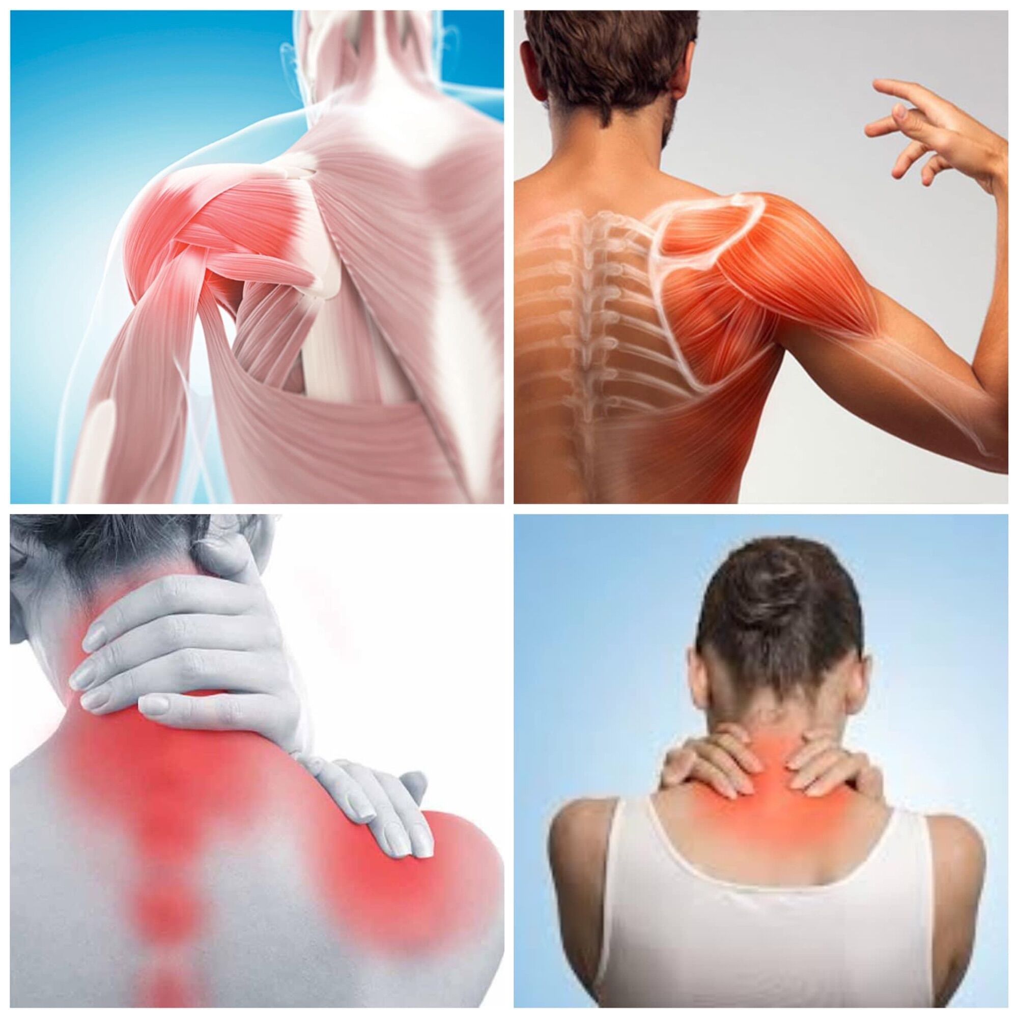 Cao ngựa xoa bóp Jacoby hàng Đức nội địa