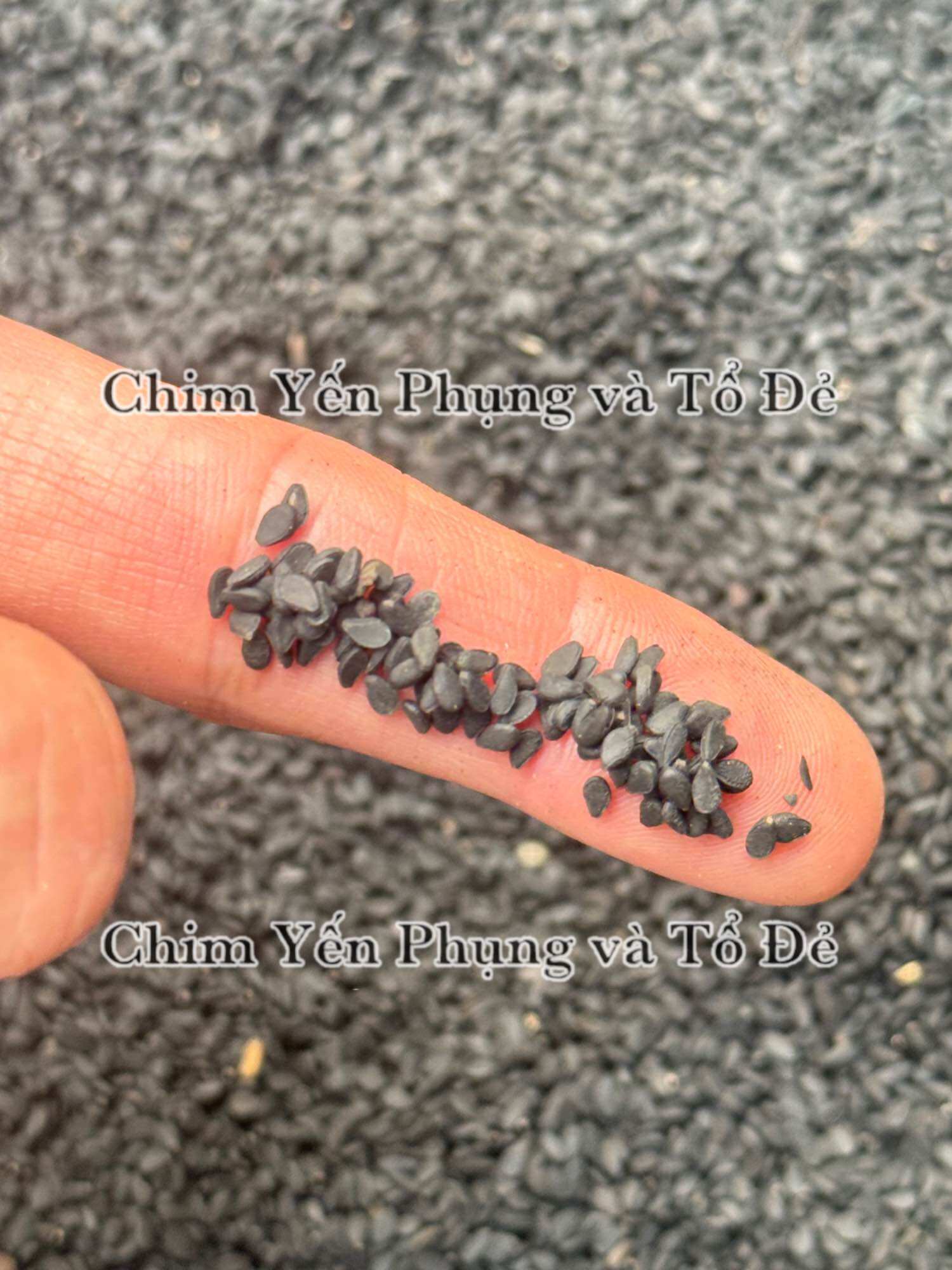 1kg mè (vừng) đen hữu cơ giàu dinh dưỡng.