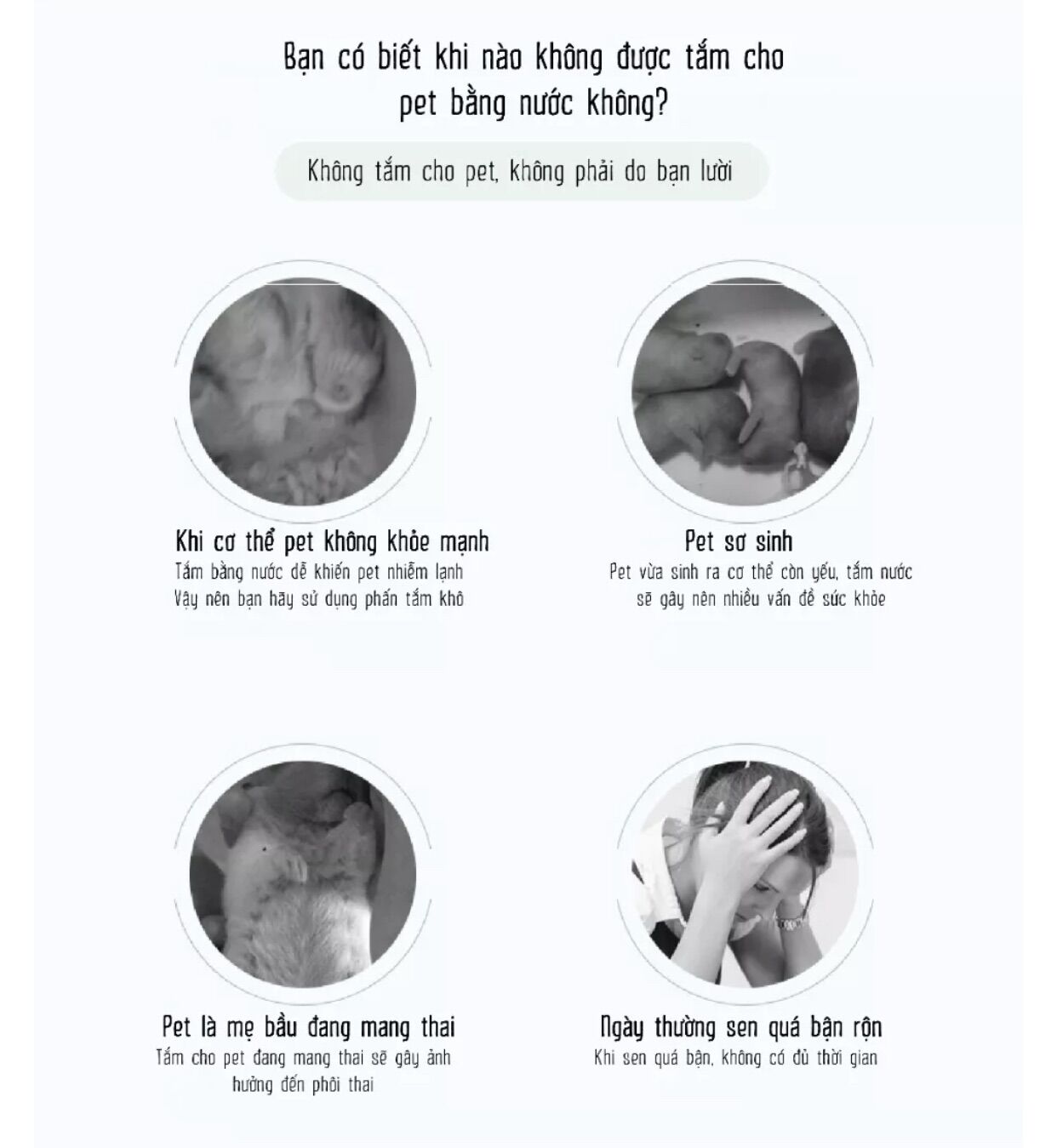 Phấn tắm khô JONSANTY cho Hamster/Sóc/Thỏ/Bọ ú