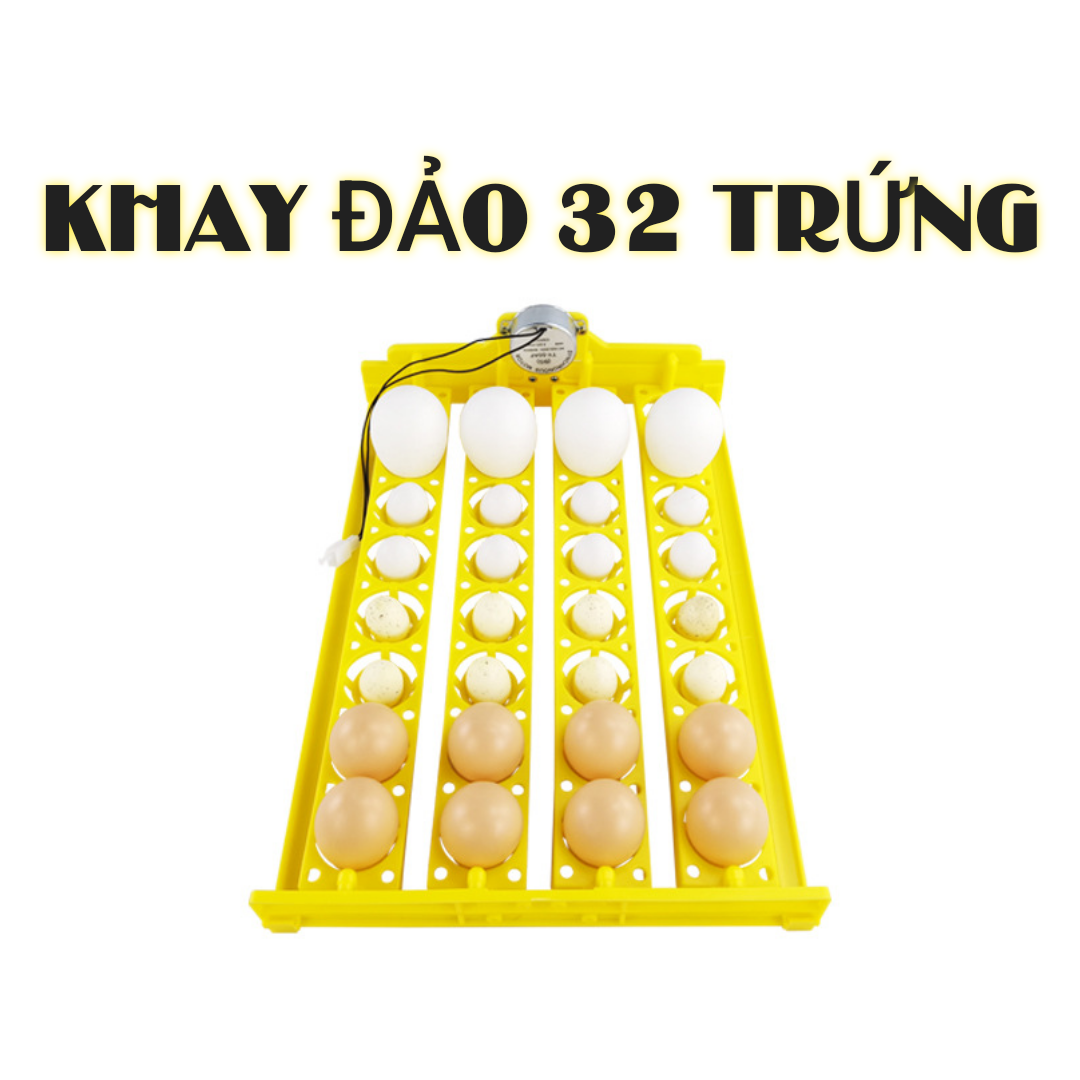 Máy ấp trứng - Giá sỉ