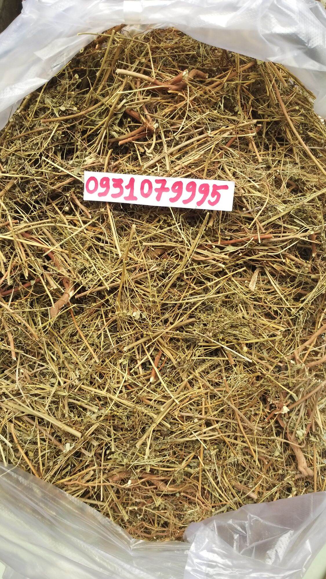 cây chó đẻ - diệp hạ châu phơi khô 1kg