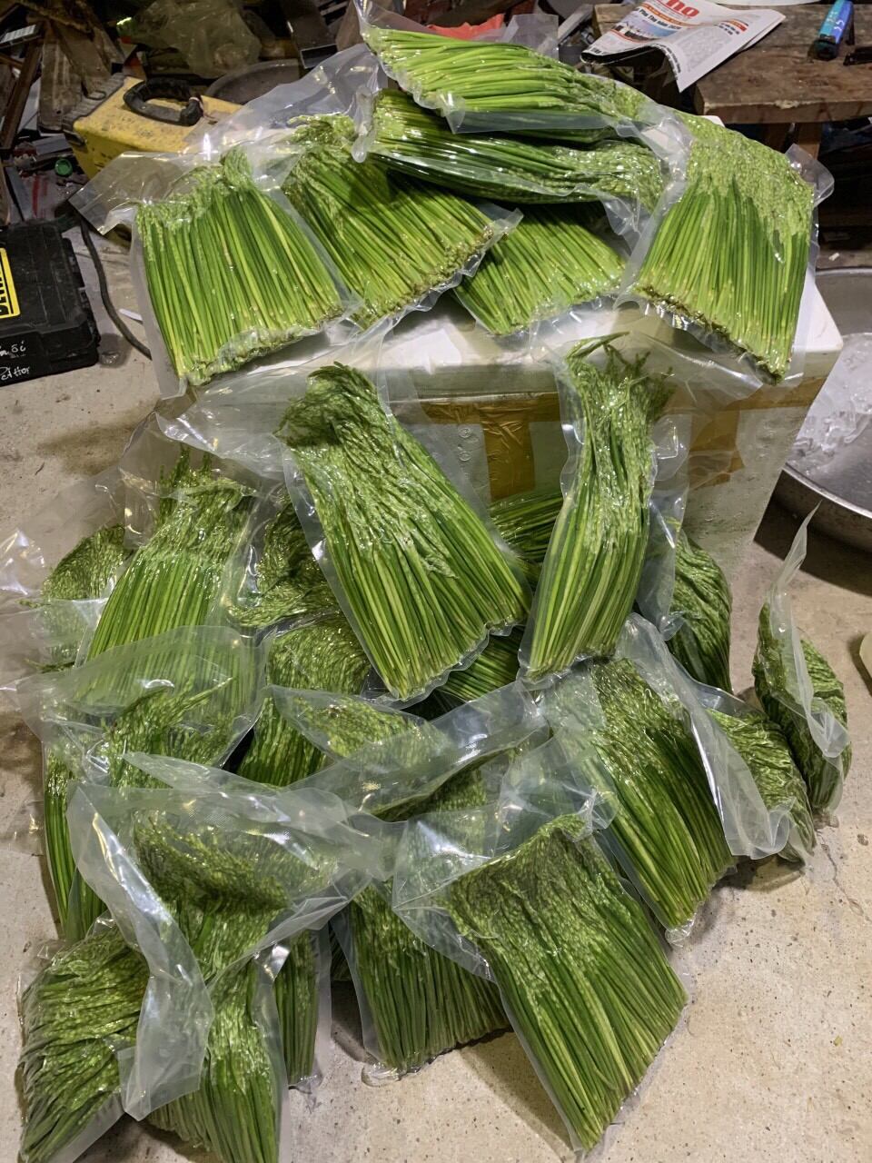 Đòng đòng nếp ngâm rượu Ba Zen