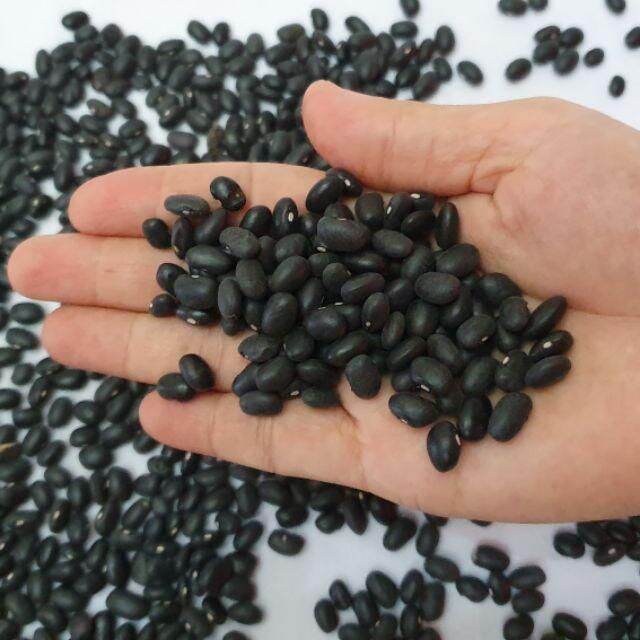 ĐẬU ĐEN 100g