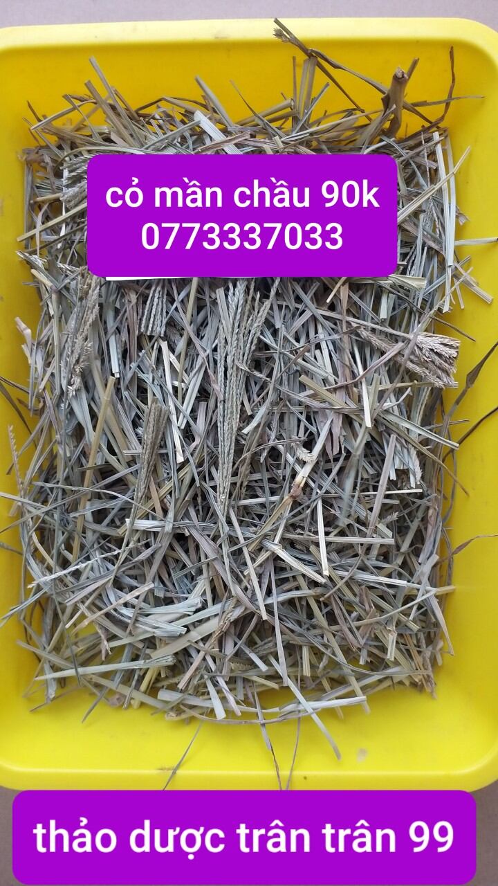 cỏ mần chầu phơi khô 1kg