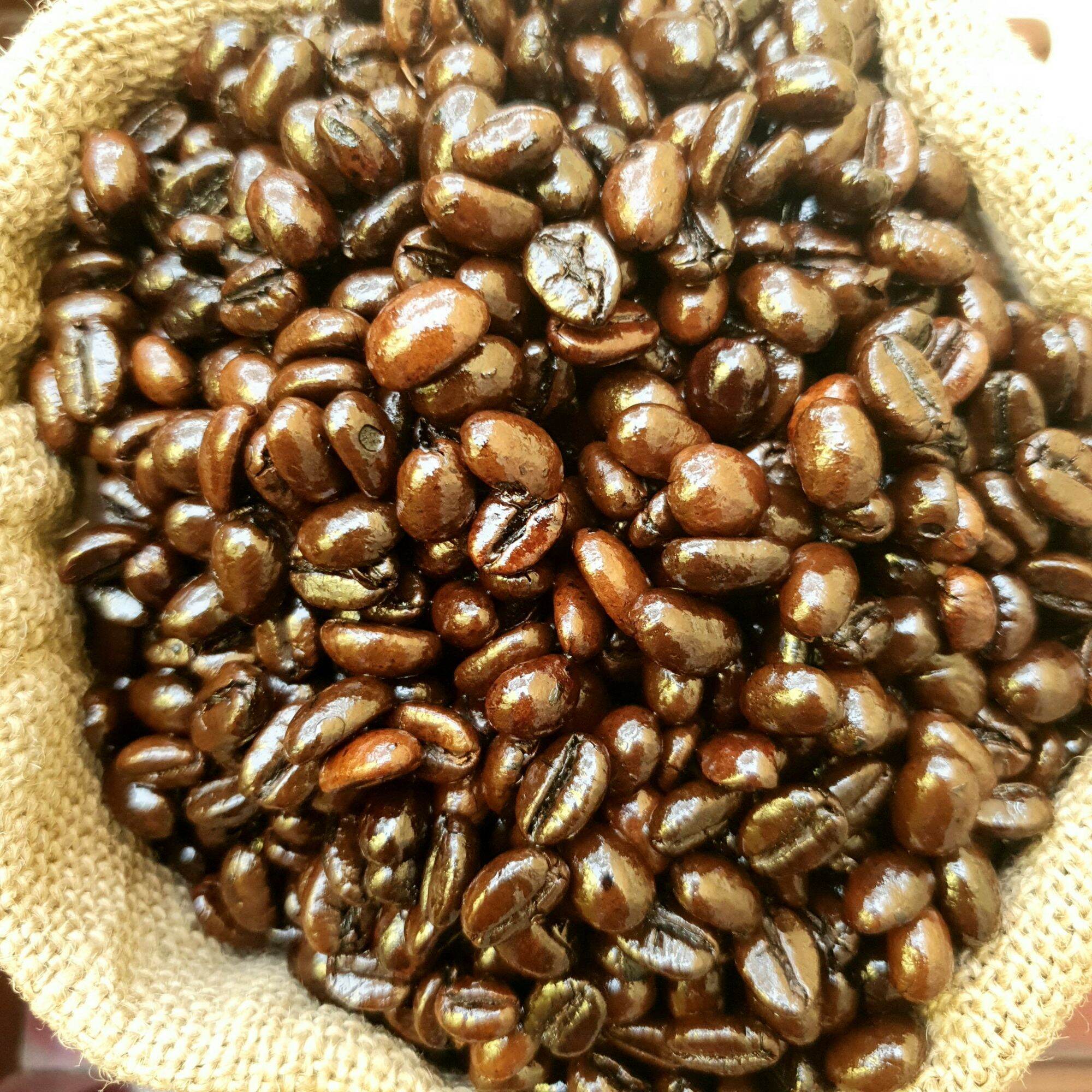 THƠM DỊU & ĐẮNG - Cafe Arabica Culi Robusta (1:2:7) - HUU KY Coffee & Tea