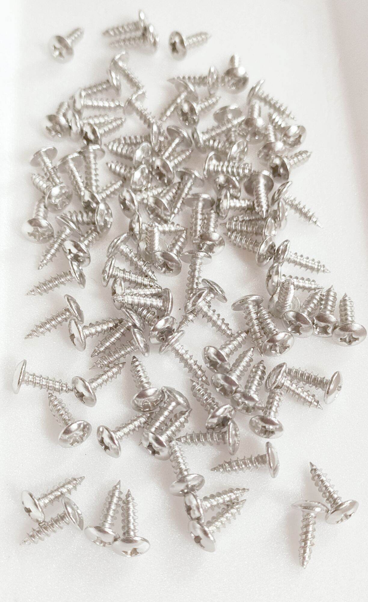 Vít dù xoắn inox 3ly x1cm x100.gr .k.hít