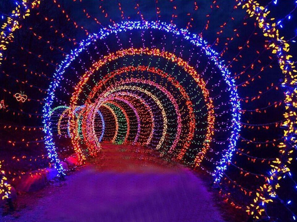 [HCM]ĐÈN LED DÂY TRANG TRÍ ĐÈN LED 4M BÓNG ĐÈN ĐOM ĐÓM TRANG TRÍ