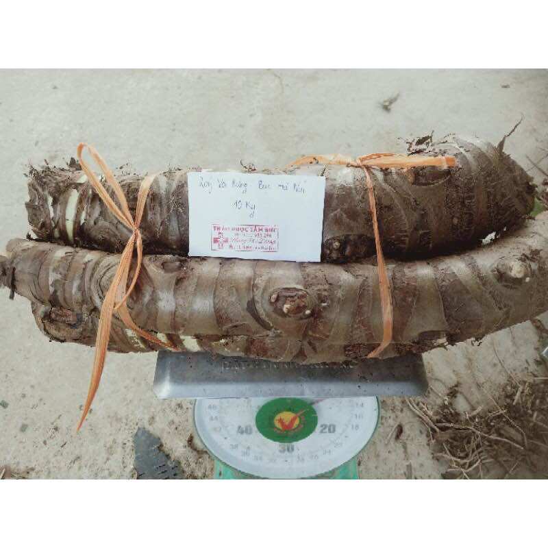 Củ bạc hà núi 10kg
