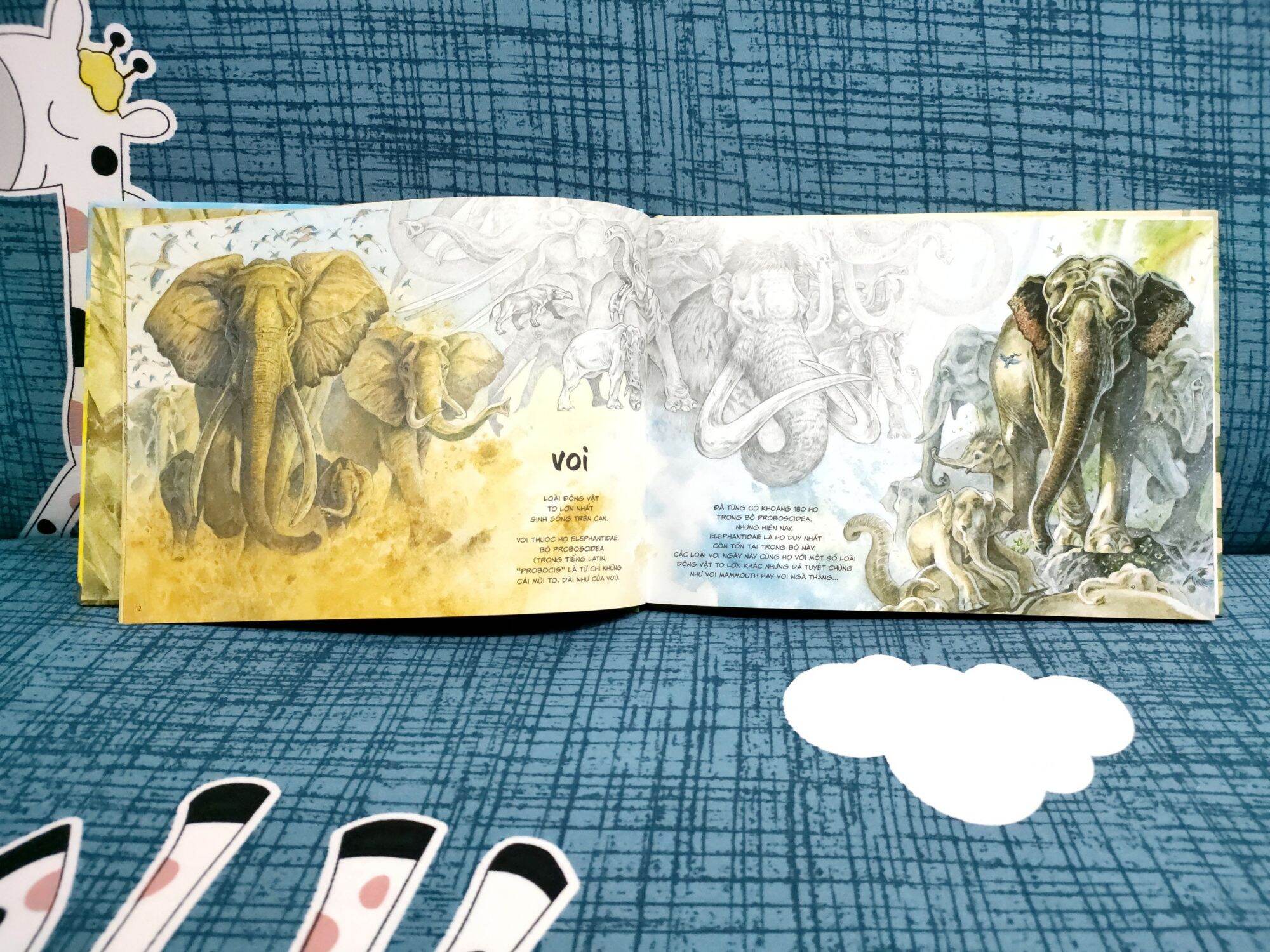 CHANG HOANG DÃ GIFT SET