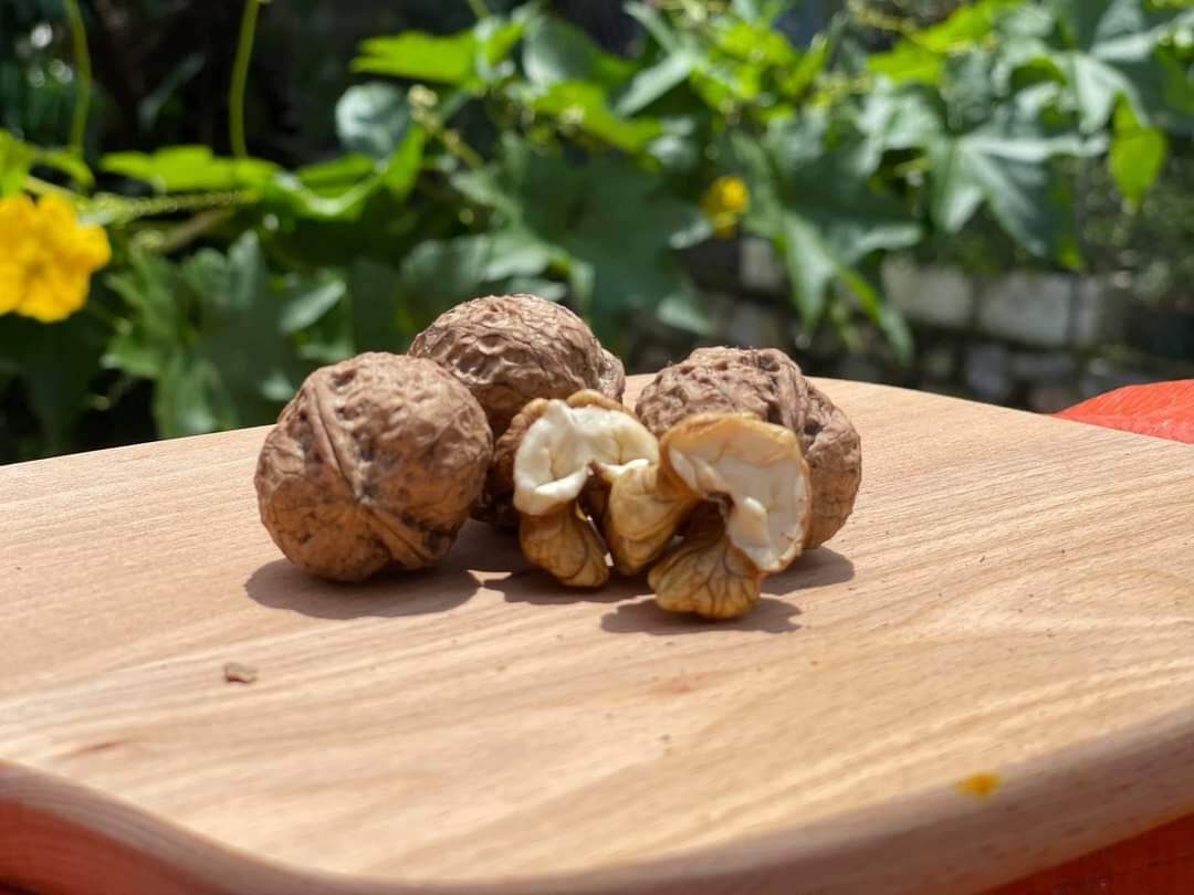 Quả óc chó khô